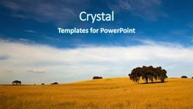  Presentation with blue yellow - Colorful PPT theme enhanced with wheat field with a great backdrop and a ocean colored foreground