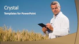  Presentation with quality control - Colorful PPT theme enhanced with wheat for a quality backdrop and a  colored foreground