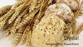  Presentation with buns rolls - Beautiful presentation theme featuring wheat germ - wholegrain buns backdrop and a yellow colored foreground