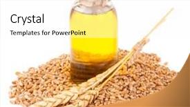  Presentation with oil - PPT theme consisting of wheat germ oil background and a white colored foreground