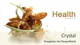  Presentation with germs - Colorful slides enhanced with wheat germs isolated on white backdrop and a lemonade colored foreground