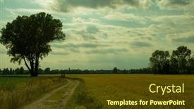  Presentation with summer trees - Theme having wheat-golden-field-of-cereals background and a tawny brown colored foreground