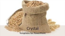  Presentation with wheat - Presentation design featuring mesh netting galvanized background and a light gray colored foreground