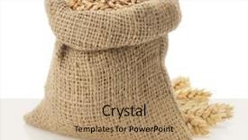  Presentation with art white gray grey - Slides enhanced with wheat grain isolated on white background and a coral colored foreground