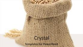  Presentation with wheat - Beautiful theme featuring wheat grain isolated on white backdrop and a coral colored foreground