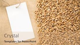  Presentation with wood grain texture - Colorful presentation theme enhanced with wheat grain on wood texture background backdrop and a coral colored foreground