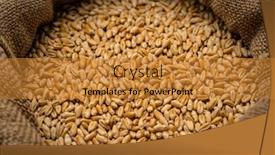  Presentation with cereal grains - PPT theme enhanced with wheat-grains-in-sack-close background and a gold colored foreground