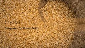  Presentation with cereal grains - Cool new slide deck with wheat-grains-in-sack-close backdrop and a gold colored foreground