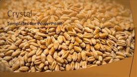  Presentation with cereal grains - Presentation theme having wheat-grains-in-sack-close background and a gold colored foreground