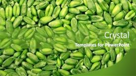  Presentation with grains - Amazing presentation design having wheat grains - natural texture macro shot backdrop and a shamrock green colored foreground