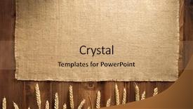  Presentation with grains - Slide deck enhanced with wheat grains on wooden plank background and a  colored foreground