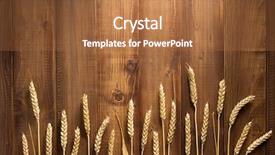  Presentation with wood wood grain - Presentation theme featuring wheat grains on wooden plank background and a red colored foreground