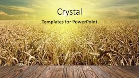  Presentation with yellow wood texture and - Audience pleasing slides consisting of wheat rye - wood textured backgrounds backdrop and a yellow colored foreground