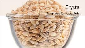  Presentation with pearl - Amazing PPT theme having wheat seed - pearl barley heap in small backdrop and a lemonade colored foreground