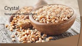  Presentation with sprout - Cool new presentation theme with wheat sprout with ear backdrop and a lemonade colored foreground