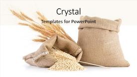  Presentation with wheat - Slide deck consisting of wheat background and a lemonade colored foreground