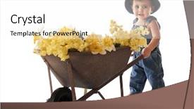  Presentation with rustic spring - PPT layouts enhanced with wheelbarrow full of spring flower background and a white colored foreground