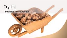  Presentation with daffodil - Beautiful presentation theme featuring wheelbarrow full with daffodil flower backdrop and a light gray colored foreground