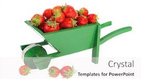  Presentation with vegetable garden - Cool new slides with wheelbarrow full with strawberries from the vegetable garden backdrop and a white colored foreground