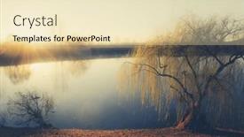  Presentation with willow tree - Slide set with wheeping-willow-tree background and a lemonade colored foreground