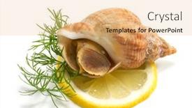  Presentation with lemon - 