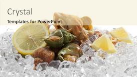  Presentation with lemon - PPT theme featuring whelks-with-lemon-on-ice background and a lemonade colored foreground
