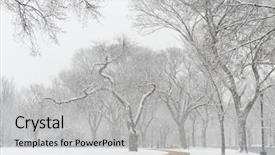  Presentation with parallel - Slides having which runs parallel to potomac background and a light gray colored foreground