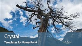  Presentation with lightning - Slide deck consisting of which the lightning struck background and a teal colored foreground