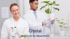  Presentation with plant tissue culture laboratory - Presentation with while colleague looking at plant background and a  colored foreground