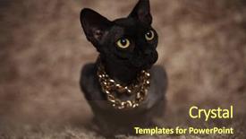  Presentation with brown and gold - Presentation enhanced with while lying on brown furry background and a tawny brown colored foreground