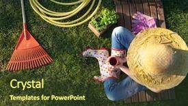  Presentation with coffee - Slides having while working in the garden background and a tawny brown colored foreground