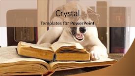  Presentation with song liric book - Slide set consisting of whippet puppy and retro book background and a coral colored foreground