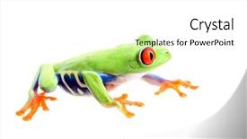  Presentation with red black and white - Presentation having white - a red-eye background and a white colored foreground