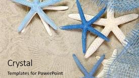  Presentation with blue stars - Colorful PPT theme enhanced with white and blue sea stars on sand backdrop and a soft green colored foreground