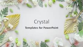  Presentation with leaves flat lay - Beautiful PPT layouts featuring white-and-coral-flowers-dried backdrop and a white colored foreground