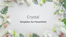 Presentation with leaves flat lay - Amazing slide deck having white-and-coral-flowers backdrop and a white colored foreground