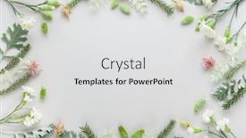  Presentation with leaves flat lay - Presentation with white-and-coral-flowers background and a light gray colored foreground