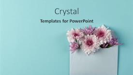  Presentation with pink colour - Slide deck with white-and-pink-flowers and a light blue colored foreground