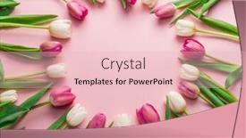  Presentation with pink white - Beautiful presentation design featuring white-and-pink-tulips backdrop and a lemonade colored foreground