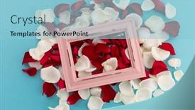  Presentation with rustic love - Presentation design with white-and-red-rose-petals background and a light blue colored foreground