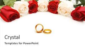 Presentation with roses - Audience pleasing presentation theme consisting of white and red roses isolated backdrop and a white colored foreground