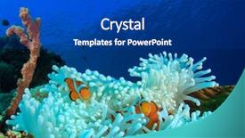  Presentation with coral - Cool new slide deck with  backdrop and a  colored foreground