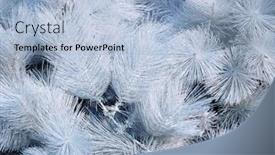 Presentation with white christmas - Presentation theme featuring white artificial christmas tree close-up background and a light blue colored foreground