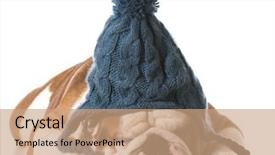  Presentation with english bulldog - Cool new slides with white background - english bulldog backdrop and a coral colored foreground