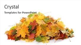  Presentation with fall colors - Colorful presentation design enhanced with white background a heap backdrop and a white colored foreground