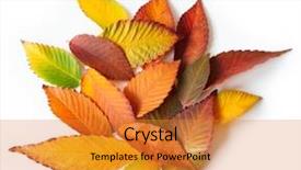  Presentation with orange green white - PPT layouts with green yellow red and orange background and a gold colored foreground