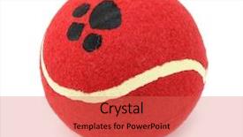  Presentation with pets - Presentation consisting of white background balls - toy ball for pets background and a red colored foreground
