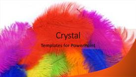  Presentation with rainbow peacock - Audience pleasing PPT theme consisting of white background carnival rainbow backdrop and a red colored foreground