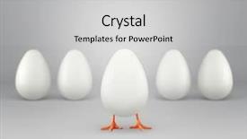  Presentation with business incubator - Beautiful presentation featuring white background concept of business backdrop and a light gray colored foreground