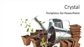  Presentation with vegetable gardening - Amazing slide deck having white background concept of spring backdrop and a white colored foreground